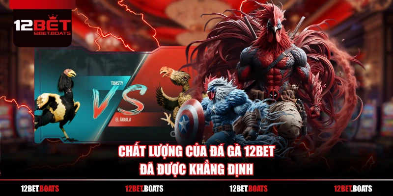 Chất lượng của Đá Gà 12BET đã được khẳng định