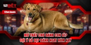 Mơ Thấy Chó Đánh Con Gì