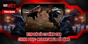 Đá Gà C1