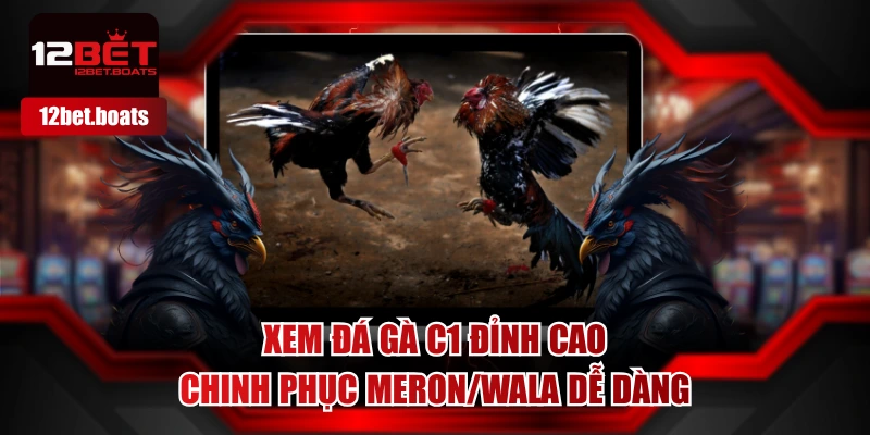 Đá Gà C1